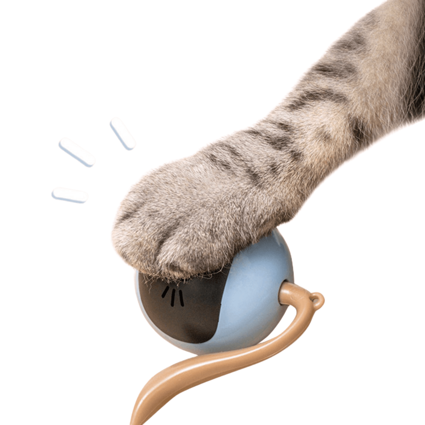Slim kattenspeelgoed