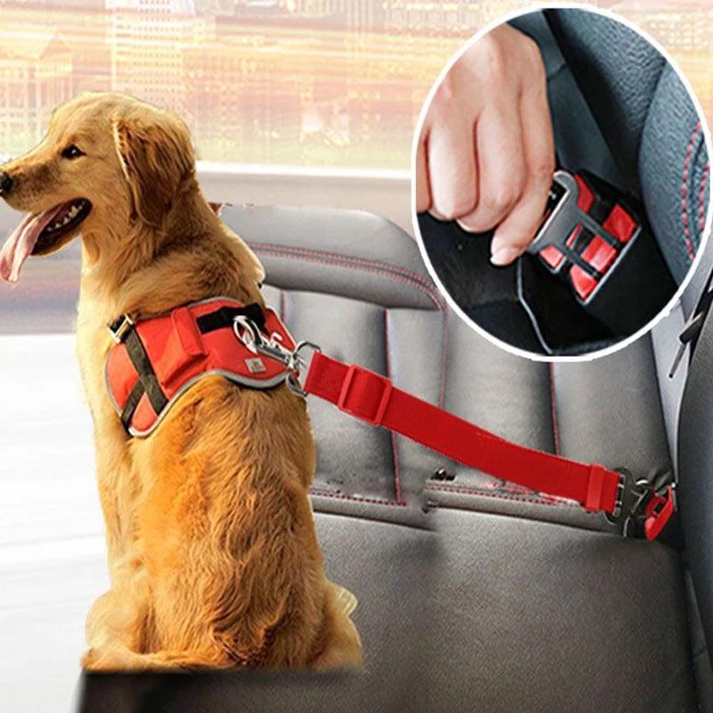 Veiligheidsgordel voor huisdieren in de auto