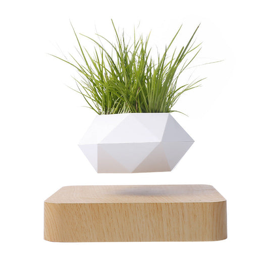 Magnetische Levitatie Plantenpot